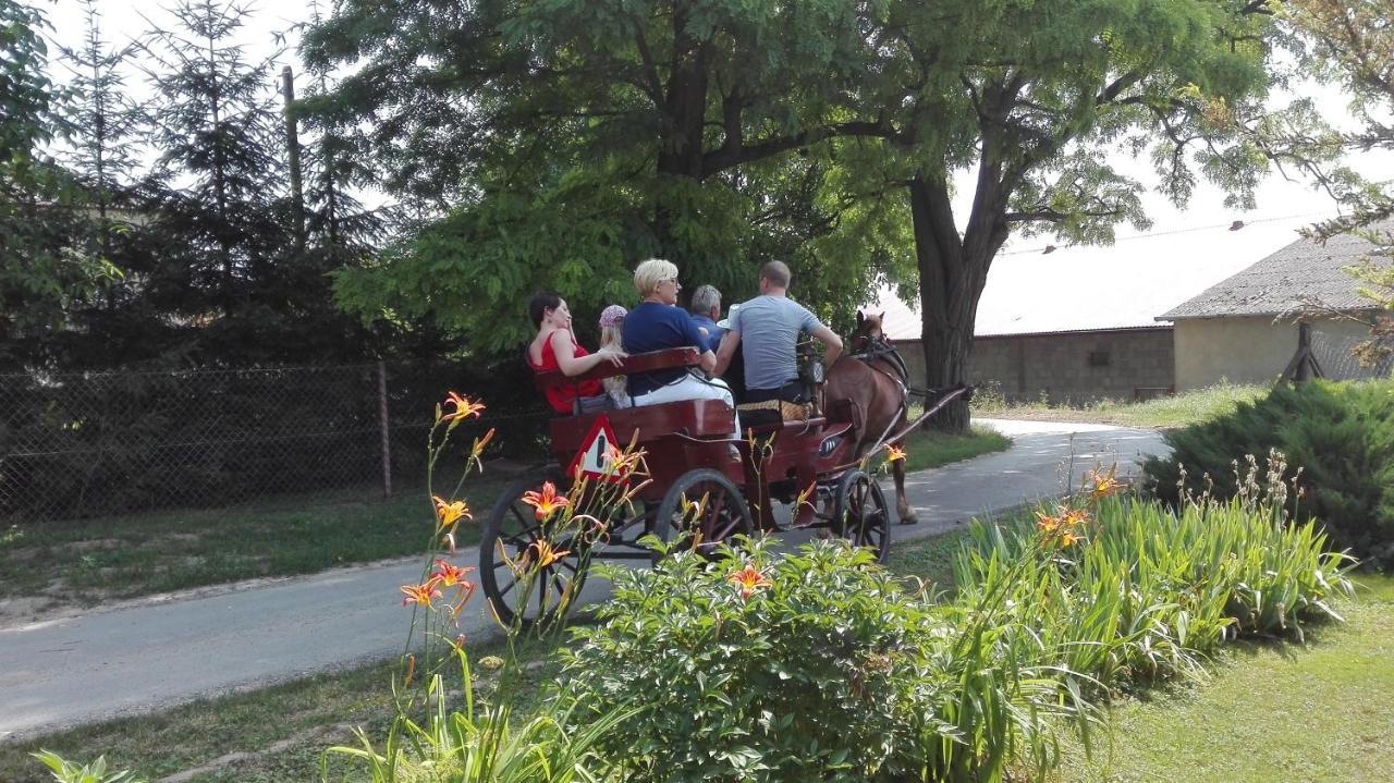 Swieze Poddasze U Przybyszow Andruszkowice Exteriér fotografie