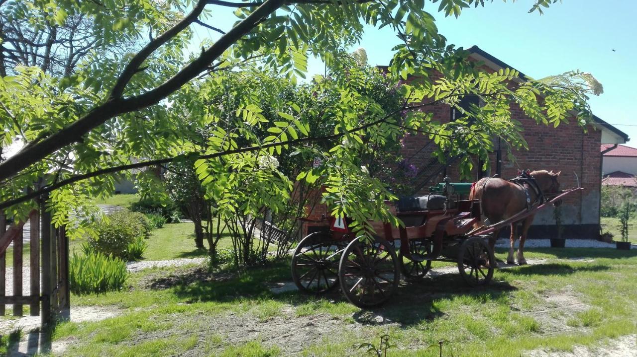 Swieze Poddasze U Przybyszow Andruszkowice Exteriér fotografie